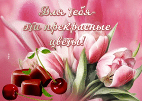 Picture восхитительная гиф-открытка с прекрасными тюльпанами