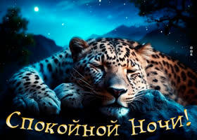 Picture впечатляющая открытка с леопардом спокойной ночи!