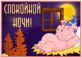 Picture забавная открытка спокойной ночи со свинкой
