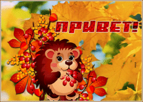 Postcard замечательная картинка привет с осенью