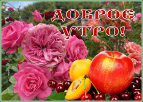 Postcard замечательная открытка доброе утро с фруктами и цветами
