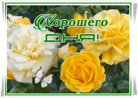 Postcard замечательная открытка хорошего дня с желтыми розами