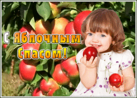 Картинка живая открытка яблочный спас