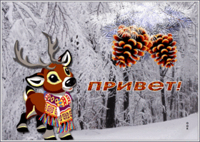 Postcard зимняя открытка привет с олененком