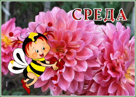 Postcard живая открытка со средой с пчелкой
